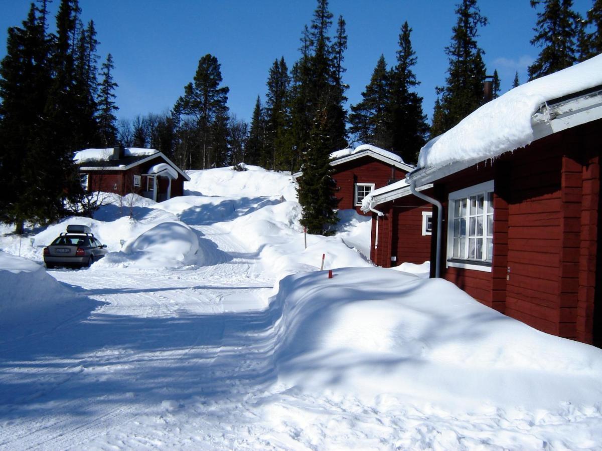 Jaktstuga Fjällriket Baggården